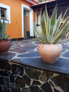 Your Idyllic Countryside Getaway - Sertã - 5