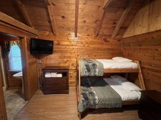 Cozy Cabin with Breathtaking Views near Dollywood - 5
