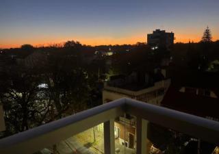 Sotelo - Olivos - 0
