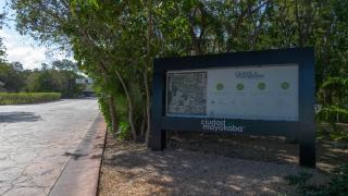 Apartment in Riviera Maya - 8