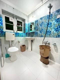 Meet in srinagar airport - Srinagar - 7