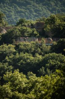 La Cachottiere - La Bastide-Pradines - 5