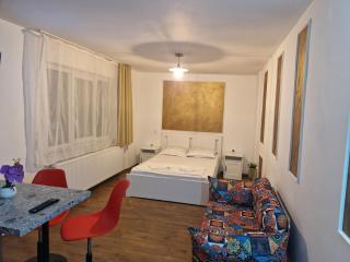 Dania&Petru Apartament's - Tîrgu Ocna - 4