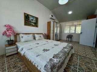Mansard 91 - - 6