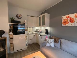 Villa Parkblick Wohnung 2 - Oberhof - 8