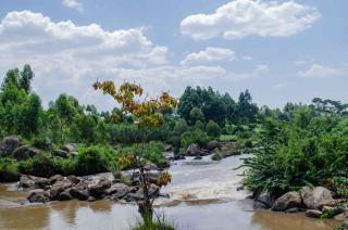 Tindinyo Falls Resort - Koiparak - 0