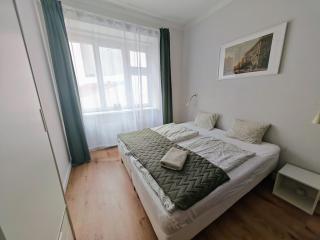 Apartment in Zizkov -201- - Praga - 9