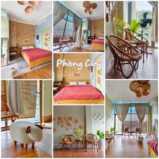 Sea Urchin Homestay - Phan Rang–Tháp Chàm - 5