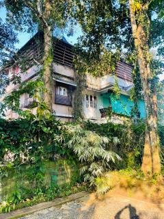 Clements holiday kalpetta - Kalpetta - 1