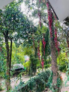 Clements holiday kalpetta - Kalpetta - 4