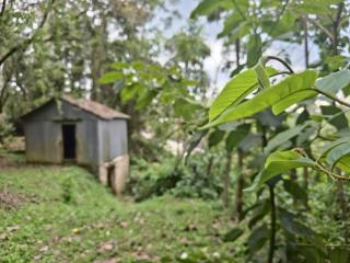 Tindinyo Falls Resort - 1