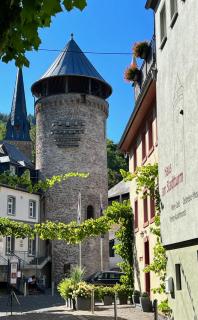 Alte Schmiede zu Trarbach - Traben-Trarbach - 8