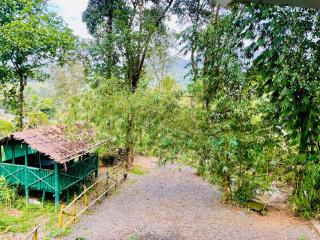 Clements holiday home - Kalpatta - 9