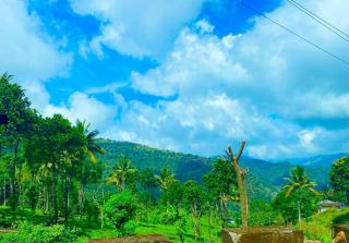 Escape Spot - Idukki - 7