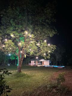 The Swapnistan Farms - 1