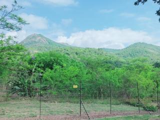 The Sanctuary- Self Catering Accommodation - Mbombela - 4