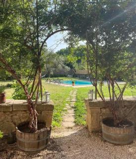 La villa des figuiers - Saint-Bonnet-du-Gard - 3