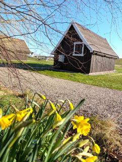 Macbeth's Hillock - 1