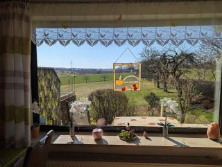 Müller's Ferienwohnungen - 7