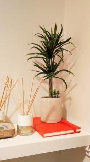 Liras House - Braga - 9