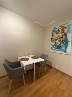 PP1b-Central-Cosy studio flat Suits globetrotters - Oslo - 3