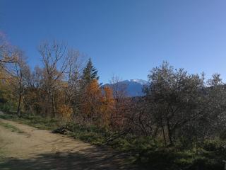 El Casot Alt - Mosset - 8