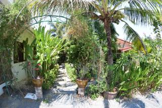 Sanuk bungalows - Rawai Beach - 3