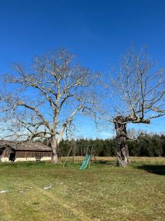 Gite maison campagne - 6