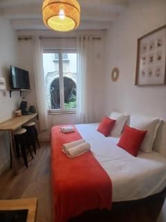 STUDIO CENTRE VILLE ANGERS RDC - 2 personnes - Angers - 9