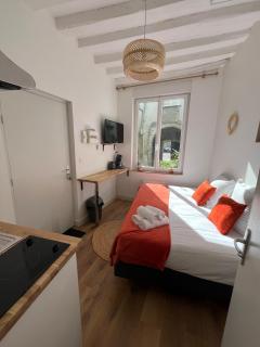 STUDIO CENTRE VILLE ANGERS RDC - 2 personnes - Angers - 4