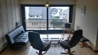 Gouden Boom 16-0202 - Koksijde - 0