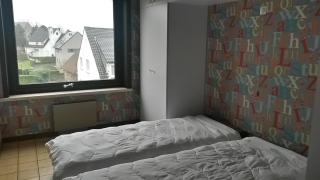 Gouden Boom 16-0202 - Koksijde - 3