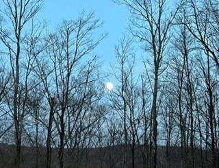 Pet-Friendly Bell Tent with Views of Taconic Mountains for a Great Escape in Nature in Petersburg, New York - Williamstown - 1