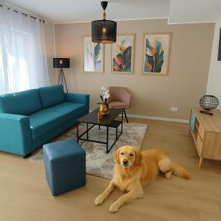 ELApart by Homely Stay - Moderne Apartments direkt im Stadtzentrum mit Self-Check-in - Bad Kissingen - 7