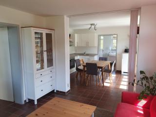 Kuckucksnest - Ferienwohnung mit Traumblick im Schwarzwald - Bad Wildbad - 1