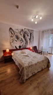 Apartament Gwiazda 207 - Krynica-Zdrój - 0