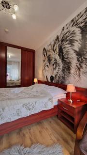 Apartament Gwiazda 207 - Krynica-Zdrój - 4