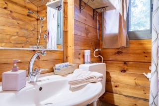 Country lodging in Manot - 4