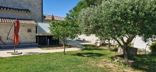 La vigne - Sauzet - 1