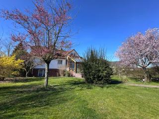 Haus Ostseesprung - Fewo Valentina im Souterrain mit Terrasse und gem Garten - Bad Doberan - 9