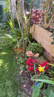 Garden Suite - Bozen - 8