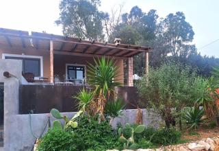 Summer house with swimming pool - 4