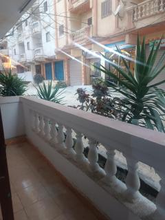 شقة بيانكى - Alexandria - 5
