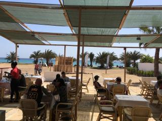 Island Retreat - 6