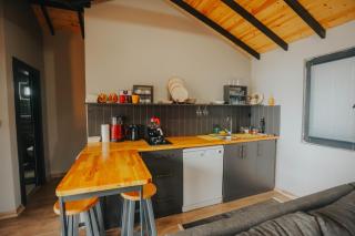 Ordu Bungalov- Tiny House - 9