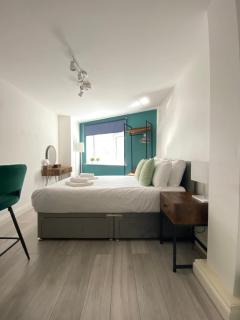 Superior Studio Flat in the City Centre - Londra - 8