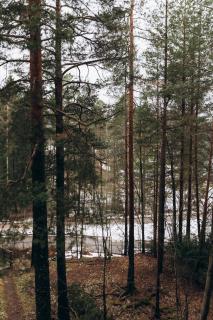 2 bedroom apartment, parking, metro, Vantaa - 9