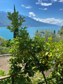 Villa Gianna 3 - Limone sul Garda - 4