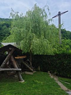 Havva - Călimăneşti - 4