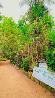 Green Grass Homestay - Sigiriya - 2